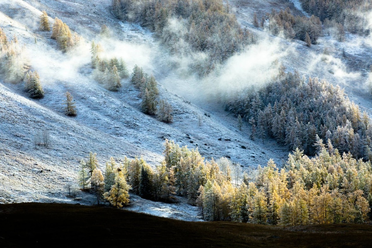新疆，嘉宾与友朋共聚一堂