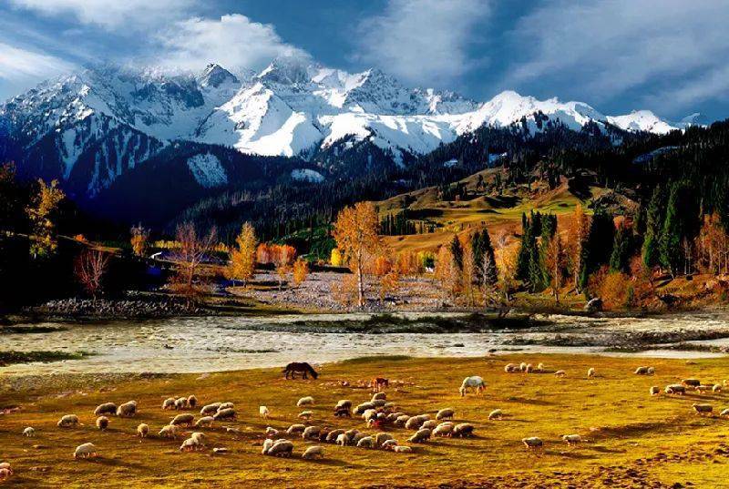 新疆,嘉宾与友朋共聚一堂