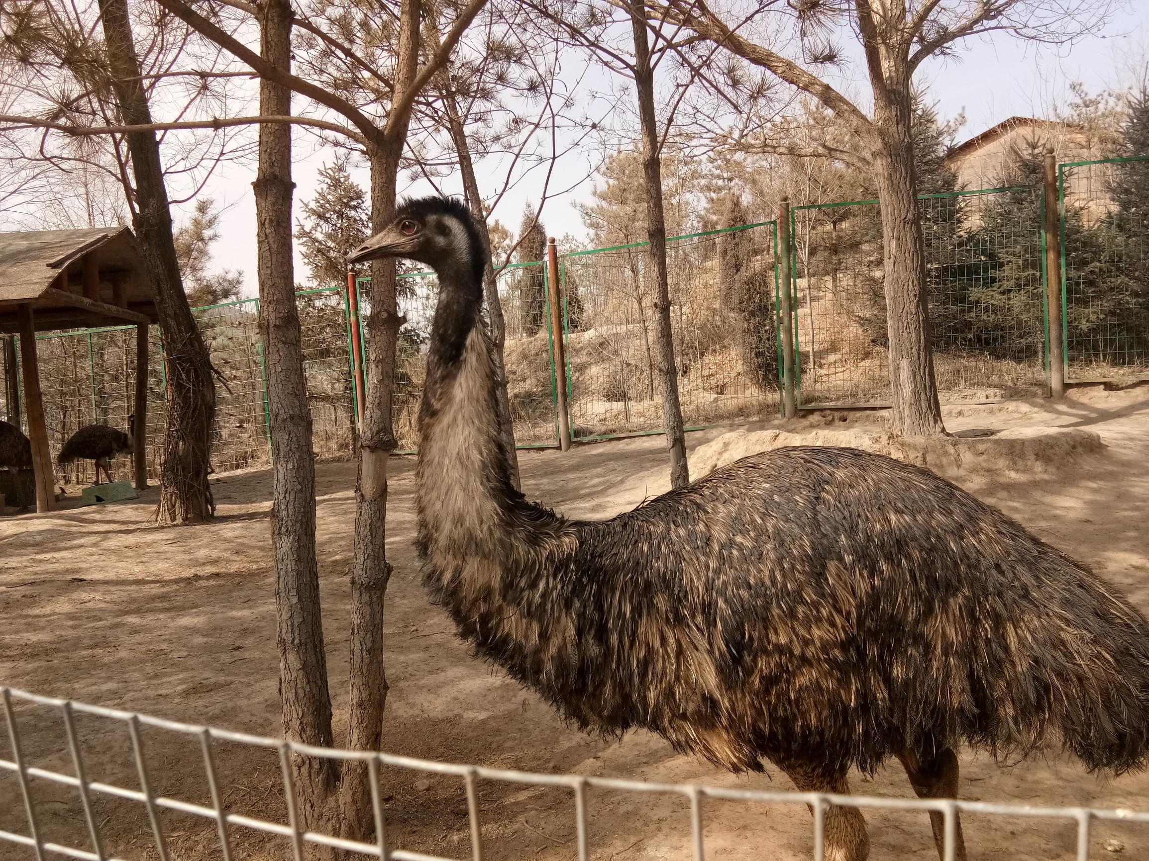 探索青海,未来生活实验室的蓝图与愿景